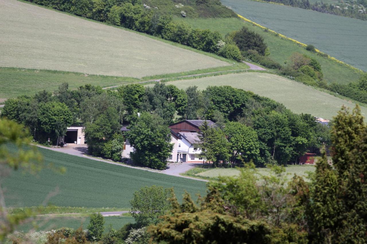 Ferienwohnung Heideblick Volkesfeld Esterno foto