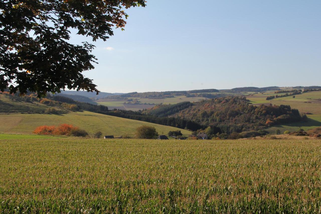 Ferienwohnung Heideblick Volkesfeld Esterno foto